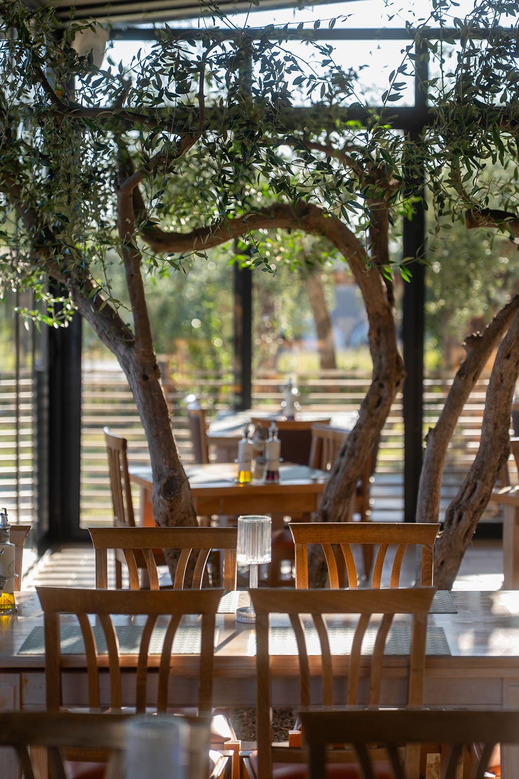 Special Gatherings at ORTO Restaurant